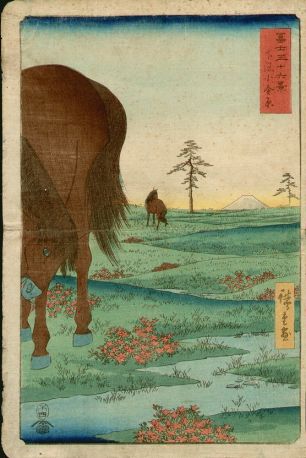 Утагава (Андо) Хиросигэ, 1797 – 1858. Гравюра "Равнина Коган в провинции Сшимоса" (Shimosa koganehara). Из серии "36 видов горы Фудзи" (Fuji Sanju Rokkei)
